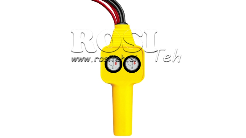 12 V ELEKTRIČNI VITEL RS-2500 - 1130 kg ECO