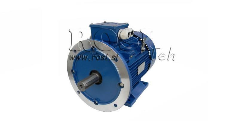 ELEKTRISCHER MOTOR 2P B3B5 3F 