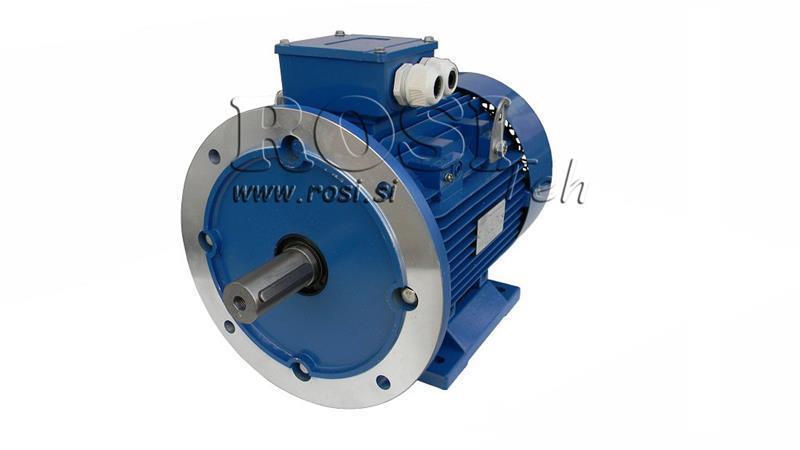 ELEKTRISCHER MOTOR 2P B3B5 3F 
