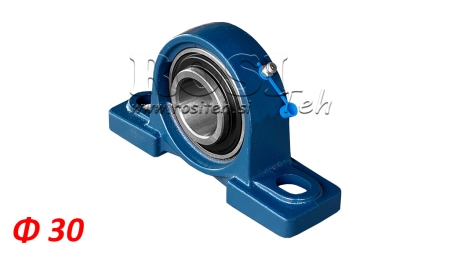 LAGER IM GEHÄUSE UCP 206 - fi 30mm