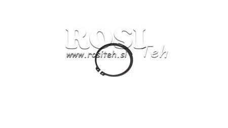 RONDELLA DIN 471 ALPA Z38x1.75