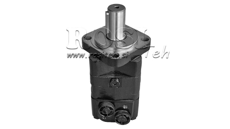 HIDROMOTOR MS 100 ECO (ALSG3-100)